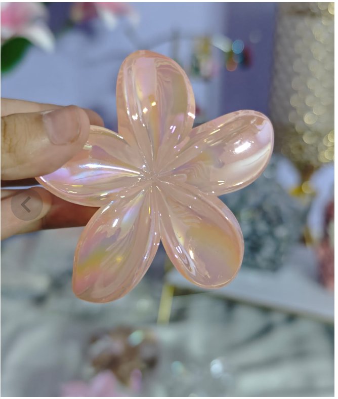 Glossy And Matte Claw Clips
