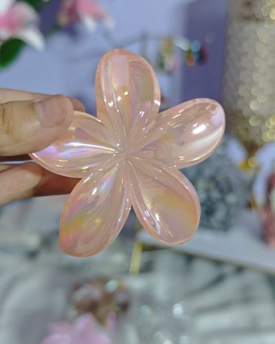 Glossy And Matte Claw Clips