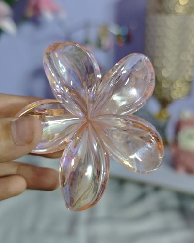 Glossy And Matte Claw Clips