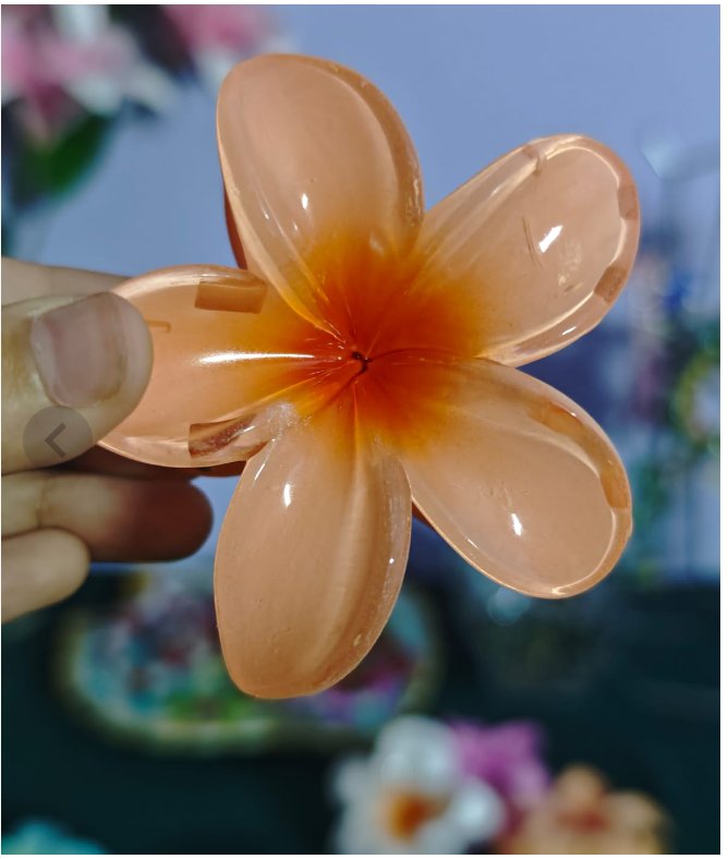 2 in 1 Shade Flower Claw Clip