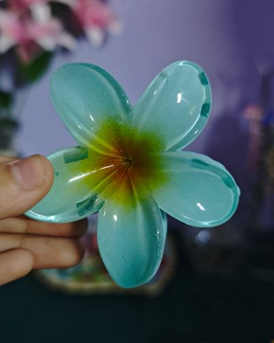 2 in 1 Shade Flower Claw Clip