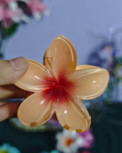 2 in 1 Shade Flower Claw Clip
